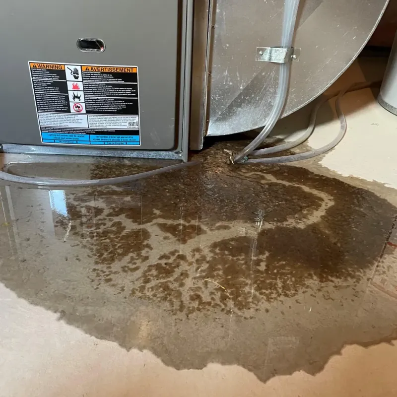 Appliance Leak Cleanup in Maysville, KY