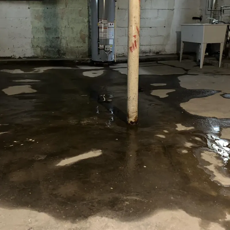 Emergency Water Extraction And Removal in Maysville, KY